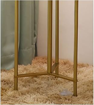 Amazon.com : KrrNFYSG Floor Lamps Floor Lamp 2 in 1 with